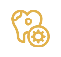 Gum Health Maintenance