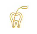 Root Canal