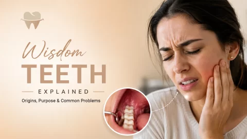 wisdom-teeth-explained-image